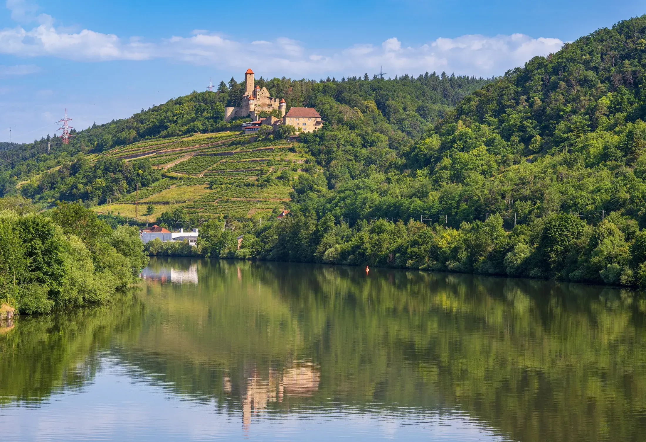Burg Hornberg liegt über Weinbergen und dem Neckar bei Neckarzimmern