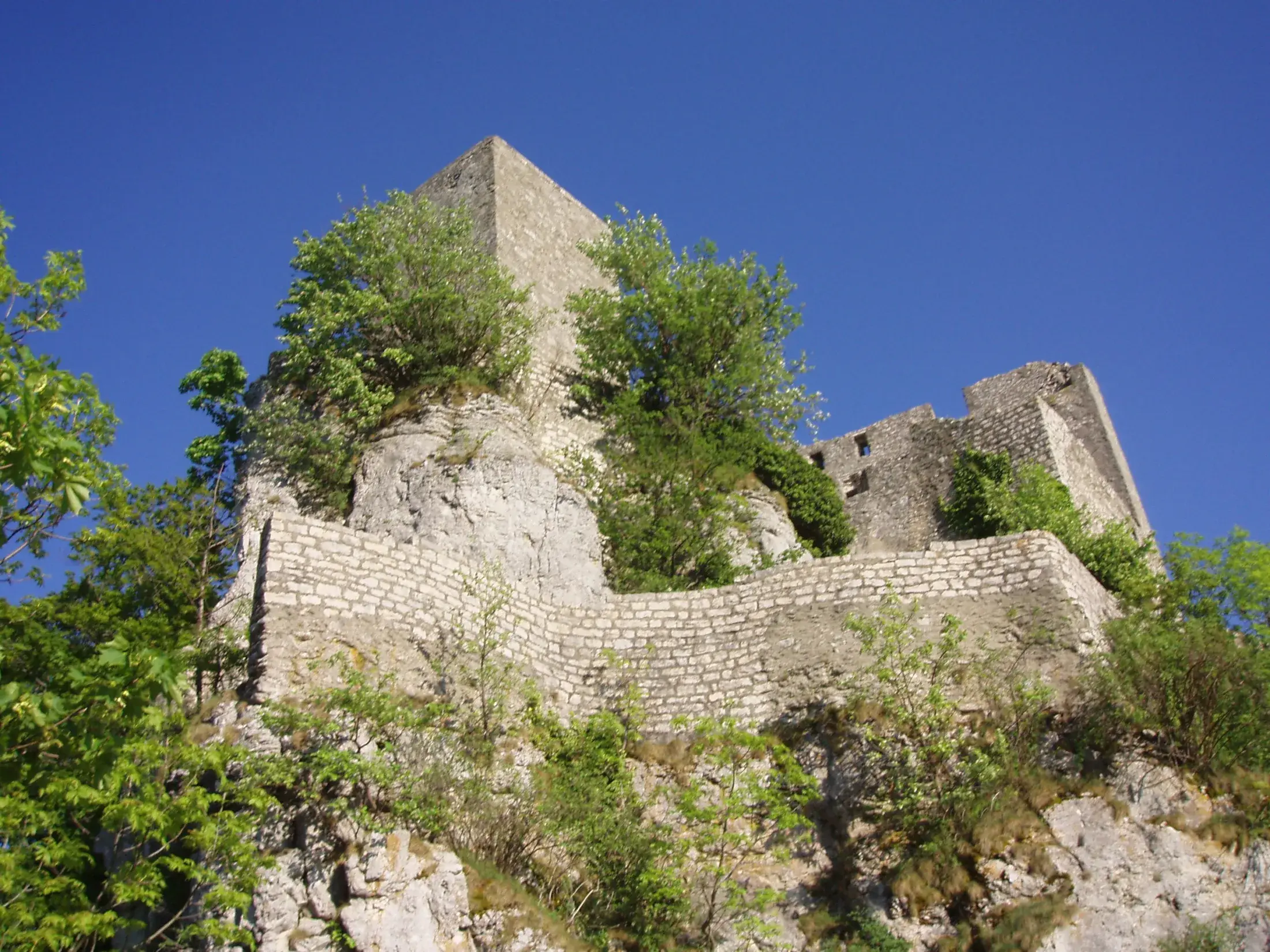 Die Burgruine Reußenstein erhebt sich auf einem steilen, bewaldeten Felsen